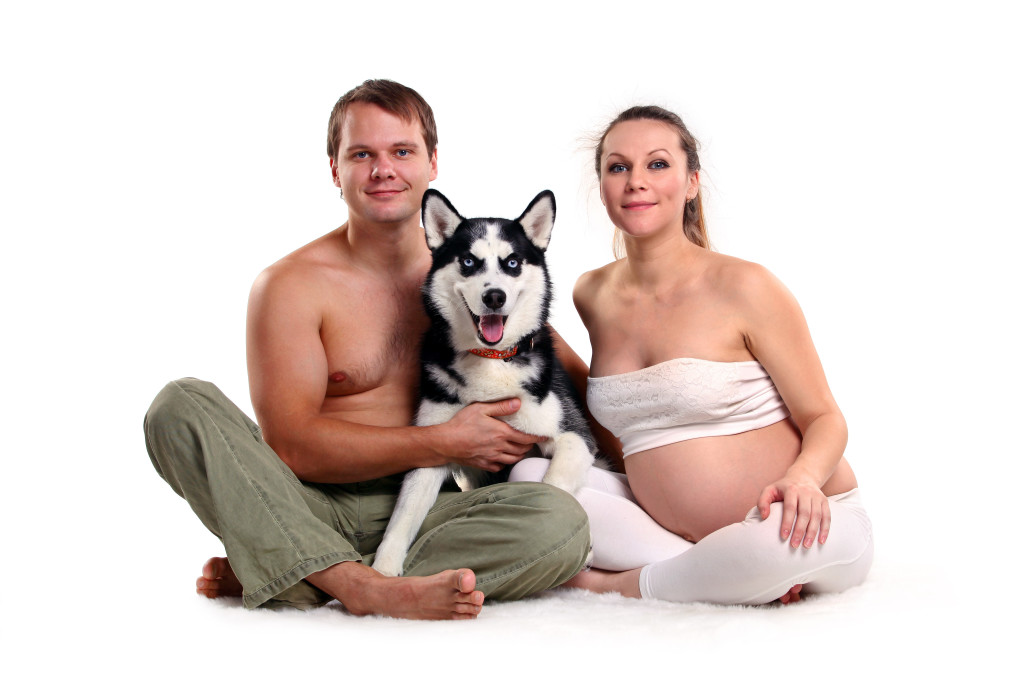 how can I prepare my dog for the arrival of my baby